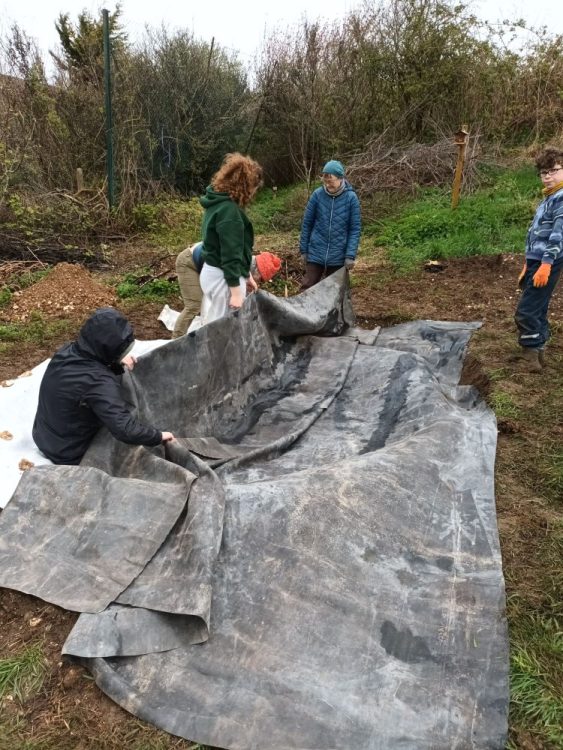 Growing Hollingdean Stage three of the pond dig at Hollingean Park Orchard with Froglife, March 2024