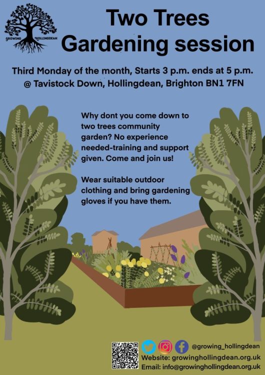 Join Mel for some gardening at Two Tree Community Garden, Tavistock Down, On Mondays 3-5pm, since 2010