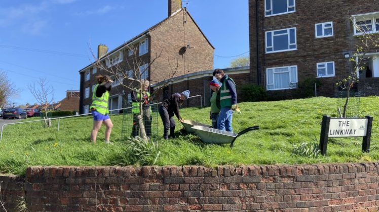 5th May 2024 Tree Guardians, 10am to 12pm @ Hollingdean Park entrance, Free Event become a Growing Hollingdean volunteers