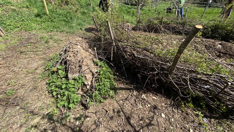 6th May 2024, Monday Bank Holiday, Froglife pond planting and picnic with Growing Hollingdean volunteers