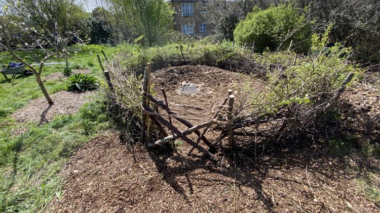 6th May 2024, Monday Bank Holiday, Froglife pond planting and picnic with Growing Hollingdean volunteers