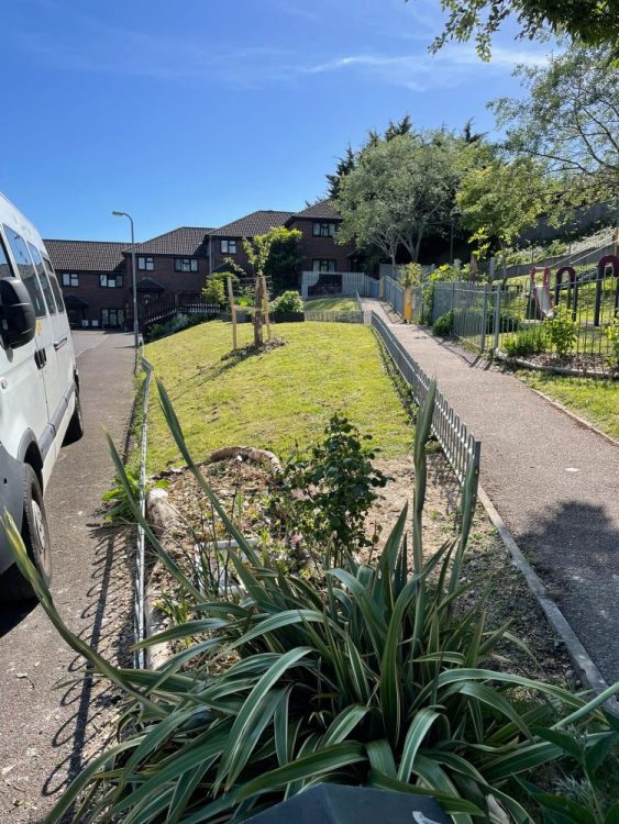 Froglife visit Lynchet Close, 3 Beds Community Garden, On Bank Holiday 6 May 2024