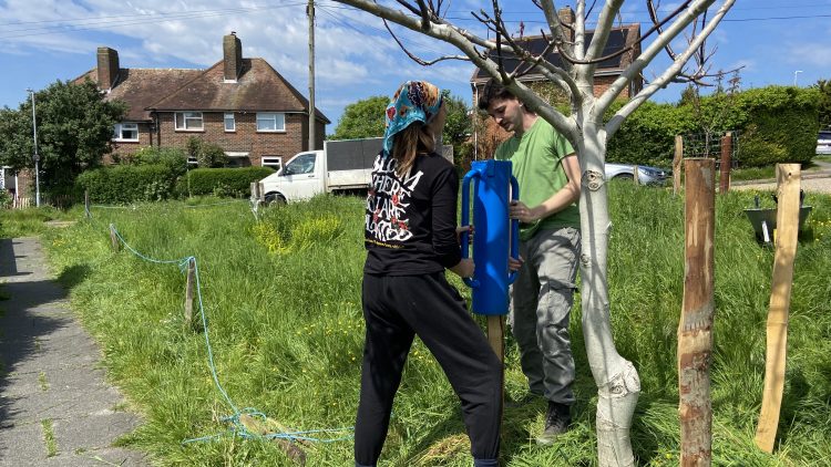 Growing Hollingdean Tree Guardian volunteers gardening on Mountfield wildflower meadow on Sunday 19 May 2024