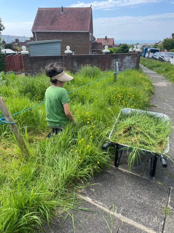 Growing Hollingdean Tree Guardian volunteers gardening on Mountfield wildflower meadow on Sunday 19 May 2024