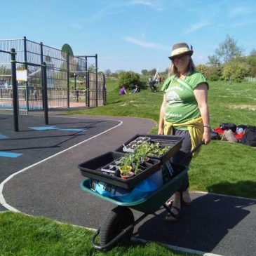 Growing Food in Small Spaces at Hollingdean Community Centre and Hollingdean Park, Took place on Thursday 9th May 2024