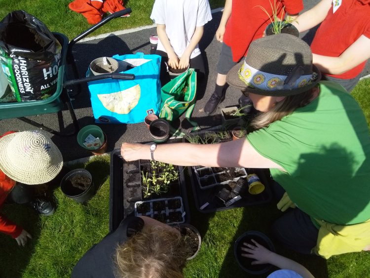 Growing Food in Small Spaces at Hollingdean Community Centre and Hollingdean Park, Took place on Thursday 9th May 2024