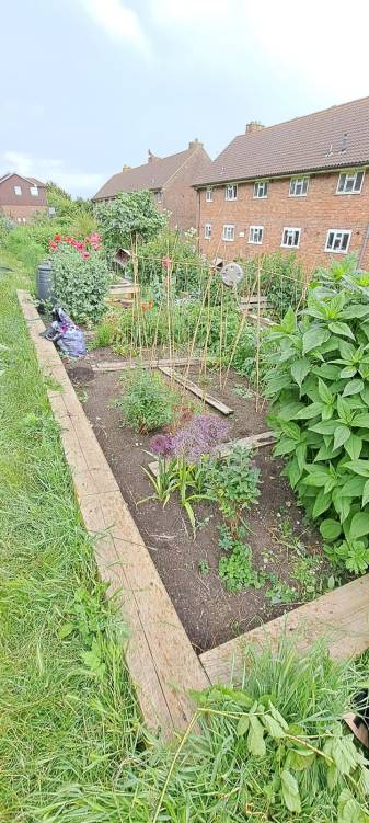 Two Tree Community Garden, Tavistock Down, Hollingdean is for everyone, June 2024