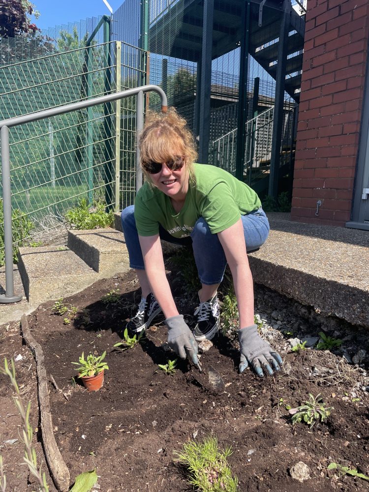 Our volunteers planted wild flowers at the Hollingdean Family Hub, June 2024