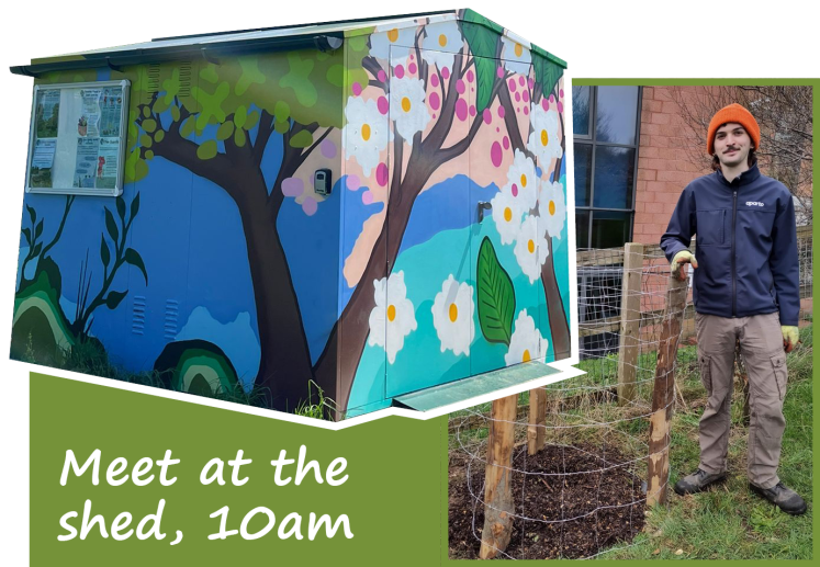 Hollingdean Tree Guardians volunteers meet at the shed, first Sunday of the month, 10am, Lynchet Close