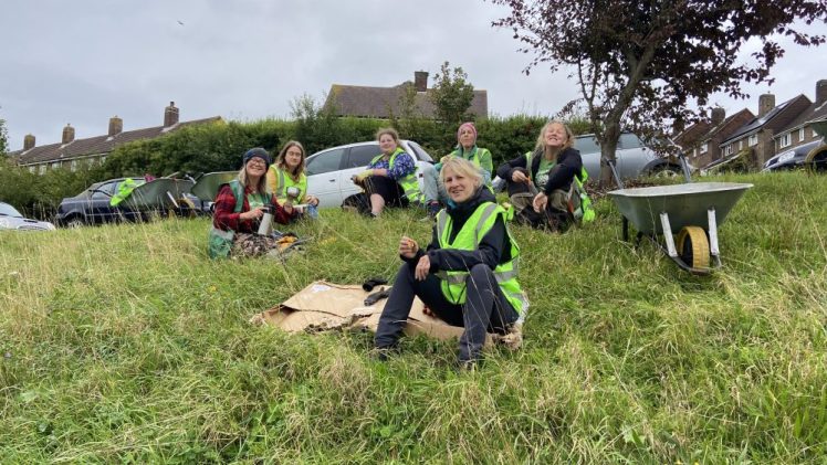 Tree Guardian volunteers seen on Davey Drive and Southmount green mulching and pruning the Hollingdean fruit tree, 6 October 2024