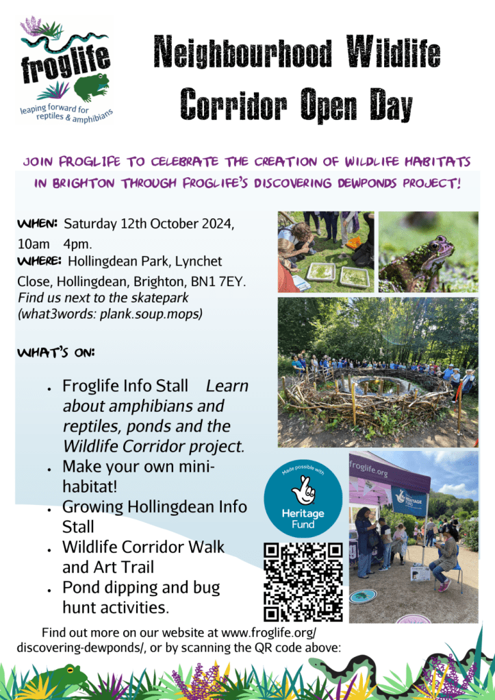 Neighbourhood Wildlife Corridor Open Day a Froglife Free Event at Hollingdean Park  Saturday 12th October 2024, 10am to 4pm