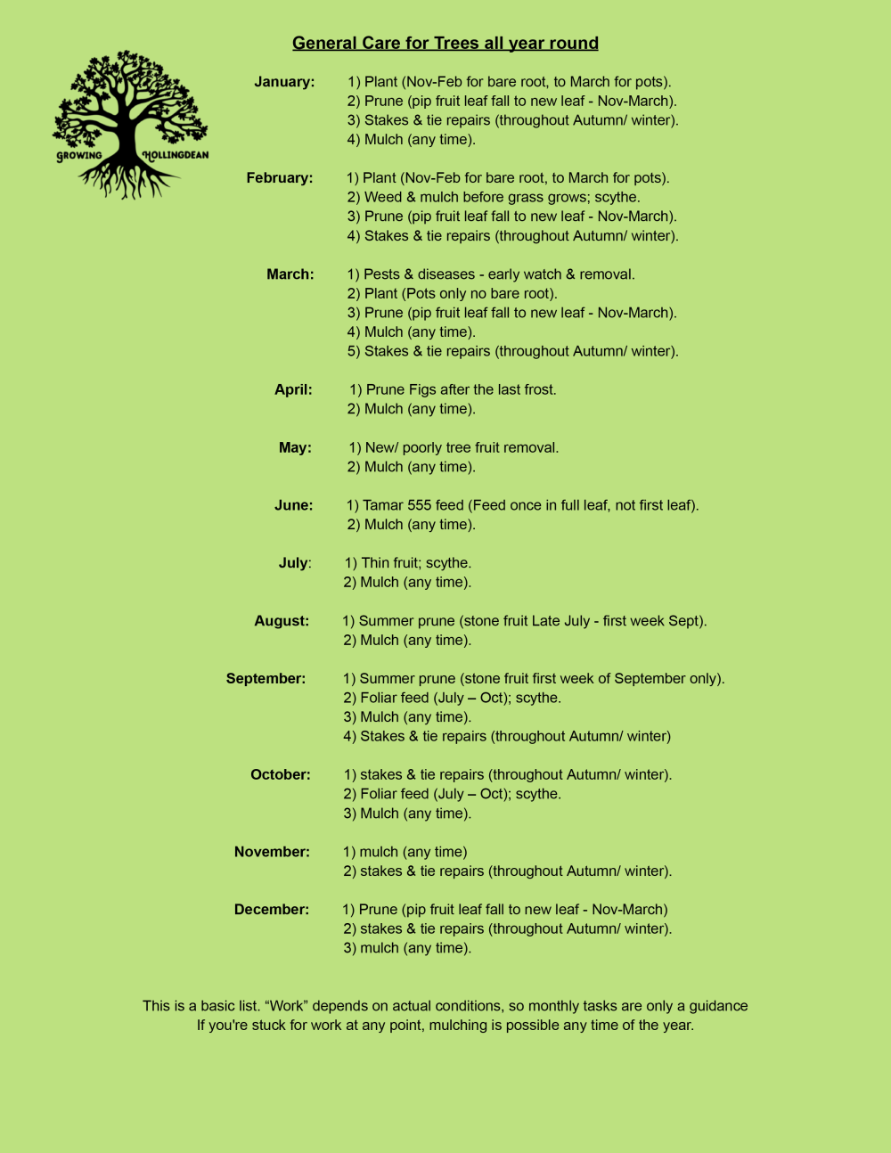 Growing Hollingdean Tree Guardian, General Care for Trees all year round guide