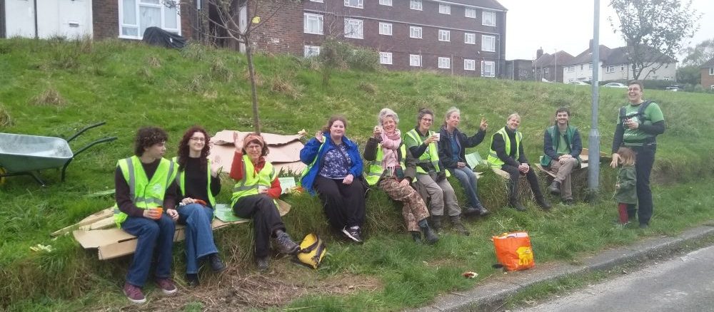 Tree Guardian Volunteers on 3rd November 2024, Hollingdean