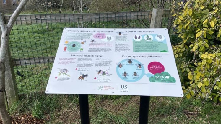 Hollingdean Park Community Orchard Bee Sign 2023