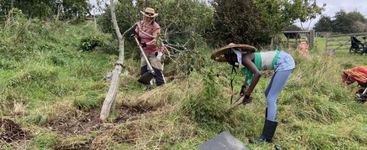 Hollingdean Park Community Orchard 2023, look after by Growing Hollingdean Volunteers 2023