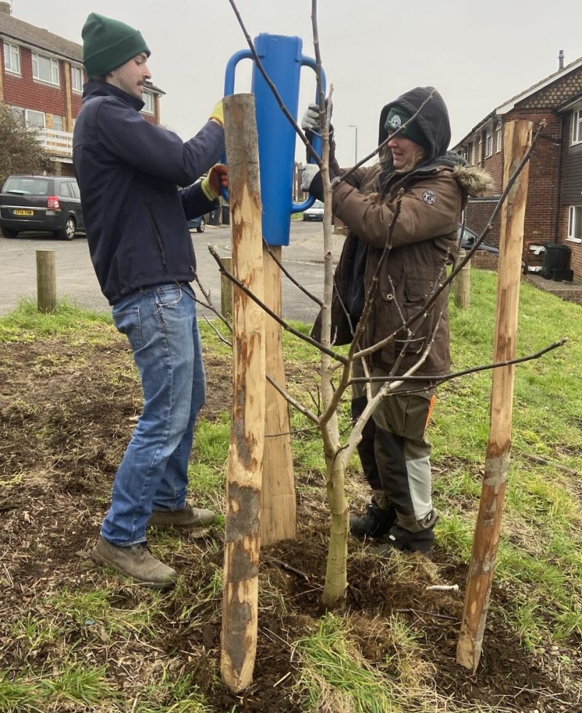 Extra Tree Guardians in January 2025 at Two Tree Community Garden Hollingdean, Brighton