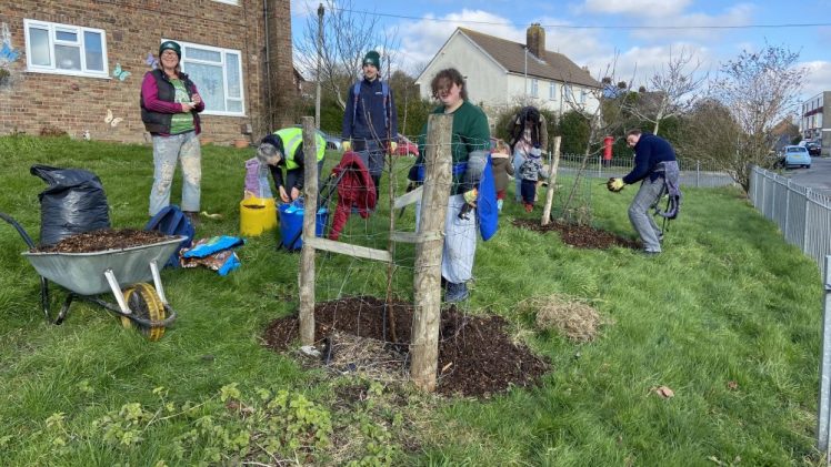 Our Growing Hollingdean Tree Guardians volunteers on the Linkway, 2nd February 2025