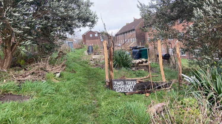 Two Tree Community Garden, Hollingdean, Brighton 2025