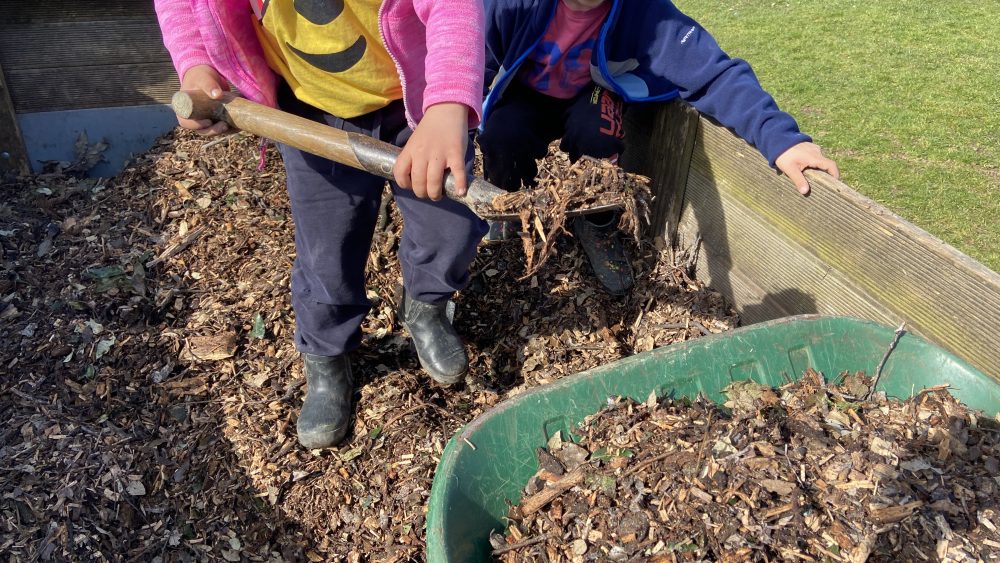 Volunteers planted a new edible forest garden at Hollingdean Park Community Orchard, March 2025