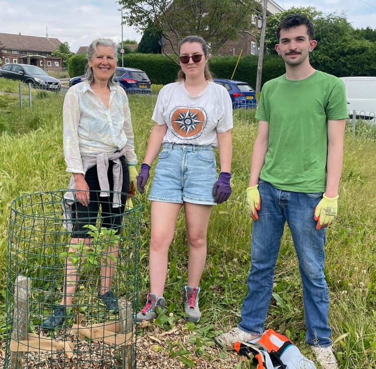 Growing Hollingdean review by Jo-seph 2024