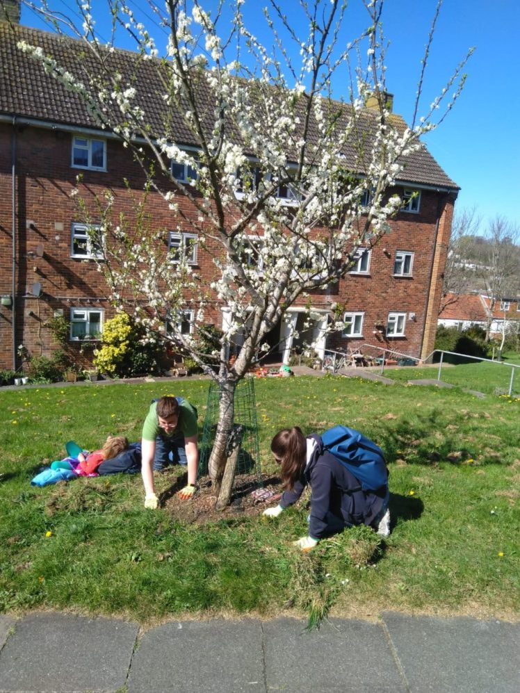 17 Tree Guardians volunteers turned up on 6th April 2025