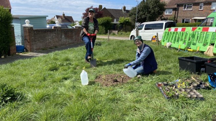 Growing Hollingdean Volunteers enjoyed gardening at Mountfields wildflower verge on 19 April 2025