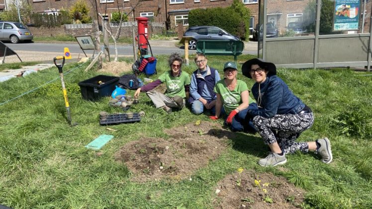 Growing Hollingdean Volunteers enjoyed gardening at Mountfields wildflower verge on 19 April 2025