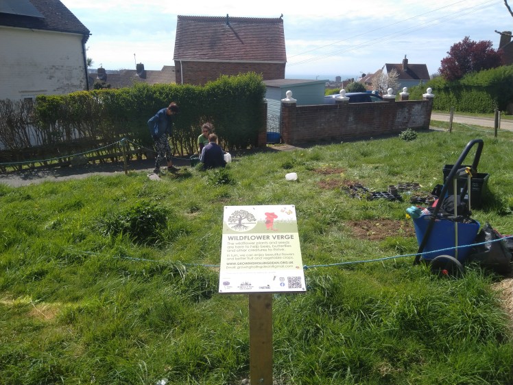 Growing Hollingdean Volunteers enjoyed gardening at Mountfields wildflower verge on 19 April 2025