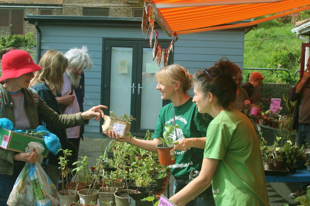 Thank you to everyone who joined us for the annual plant & seed AGM fair, 27 April 2025