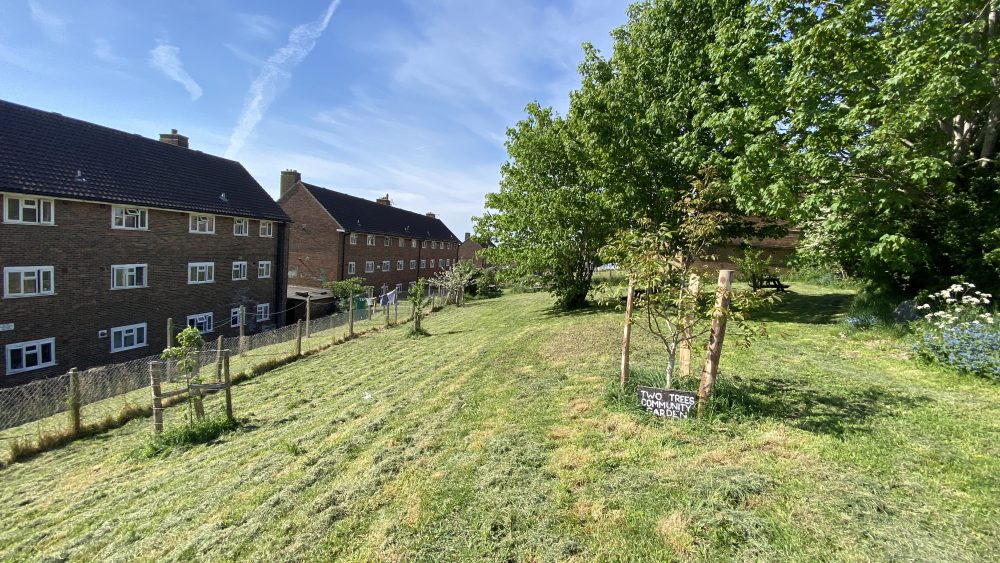 Brighton & HOve Community Gardens Open Day, Saturday 7th June 2025, 11am to 4pm, Brighton & Hove Community Gardens