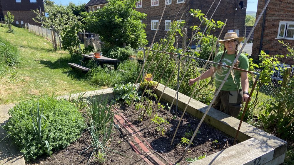 Brighton & HOve Community Gardens Open Day, Saturday 7th June 2025, 11am to 4pm, Brighton & Hove Community Gardens