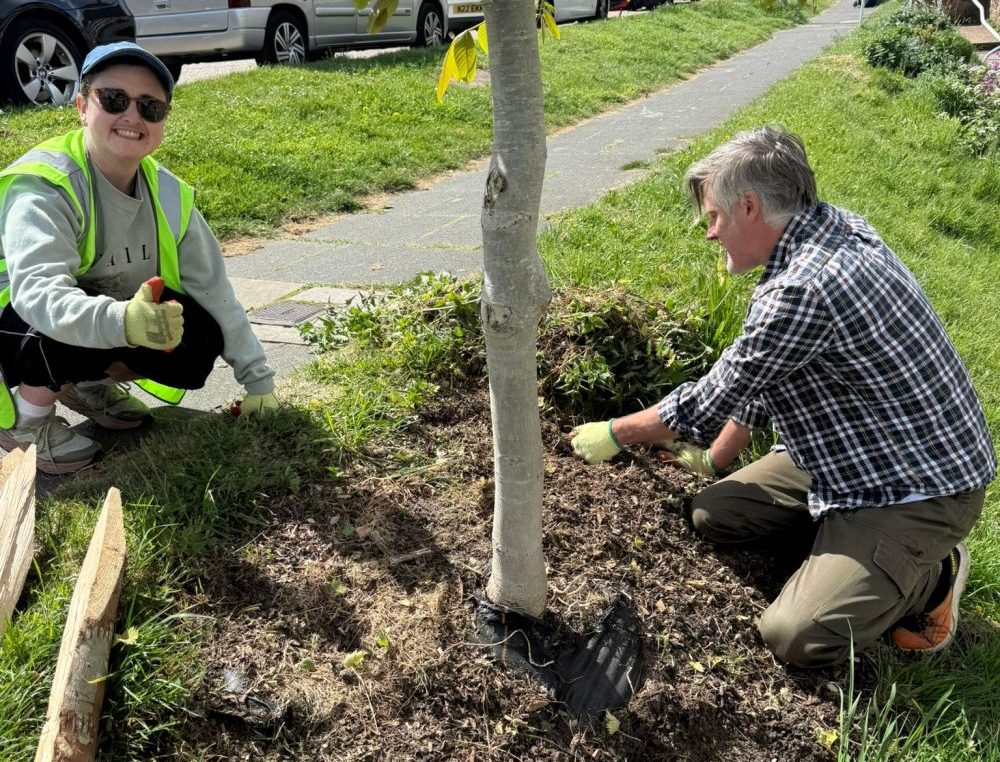 13 adults and two children for Tree Guardians on Sunday 4th May 2025 - an amazing turn out!