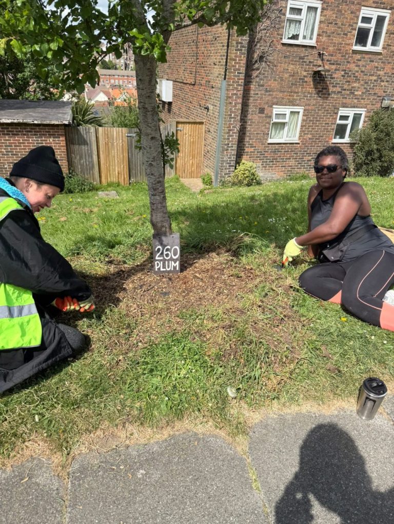 13 adults and two children for Tree Guardians on Sunday 4th May 2025 - an amazing turn out!