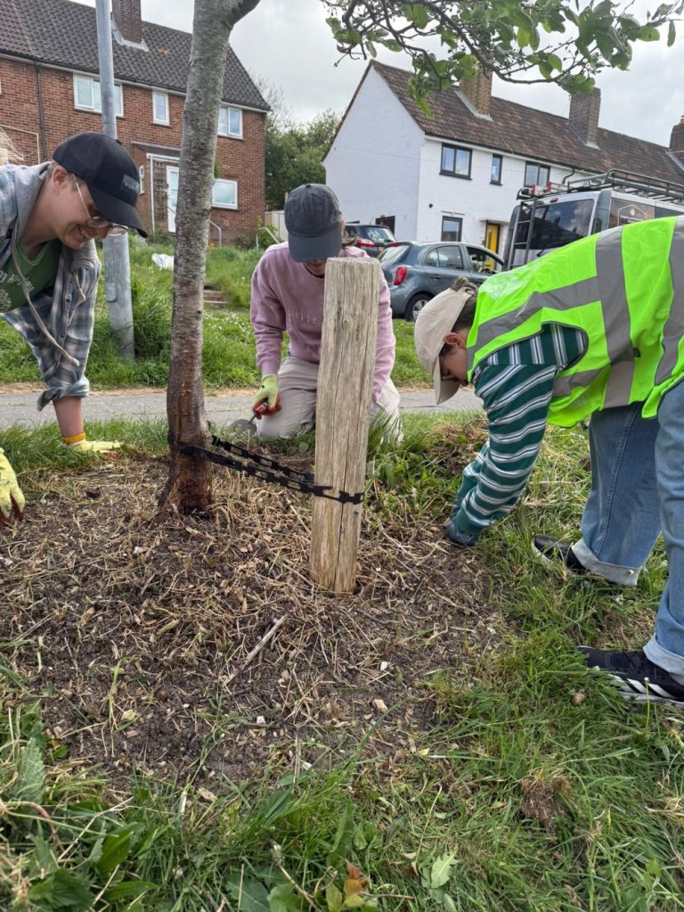 13 adults and two children for Tree Guardians on Sunday 4th May 2025 - an amazing turn out!