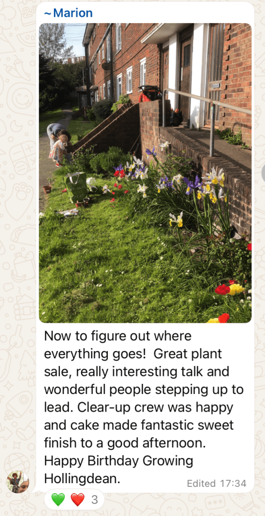 Growing Hollingdean Plant Sale Review on whatsapp April 2025