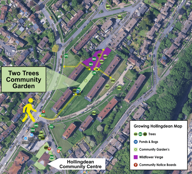 Two Trees Community Garden, Tavistock Road, Hollingdean Brighton