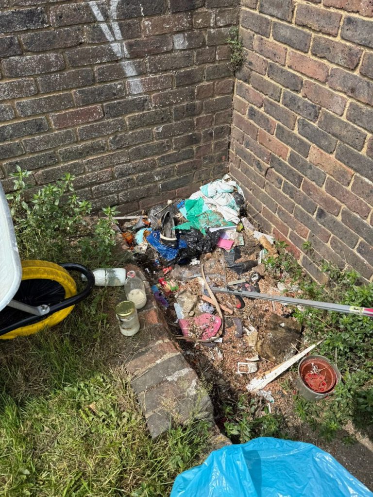 Tree Guardians litter pick in Hollingdean, June 2025