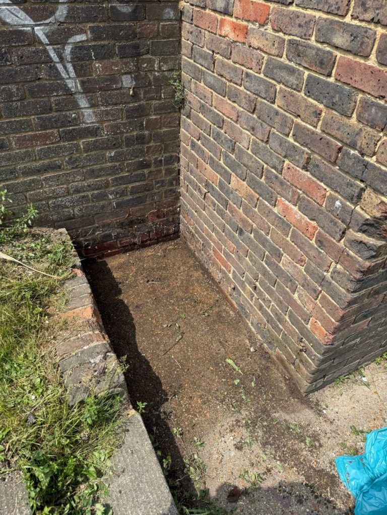 Tree Guardians litter pick in Hollingdean, June 2025