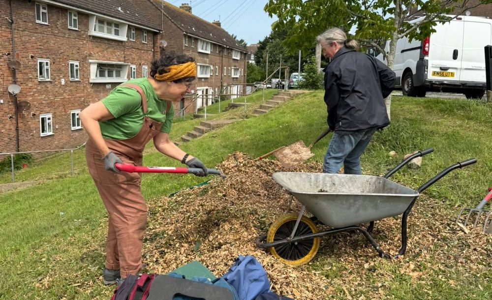 What our Tree Guardians did on 1st June 2025, Hollingdean, Brighton volunteers