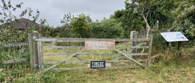 Hollingdean Community Orchard and Forest Garden entrance June 2025