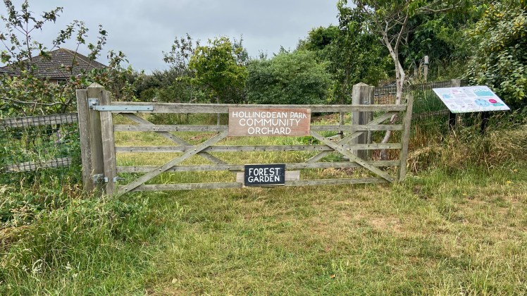 Hollingdean Community Orchard and Forest Garden entrance June 2025