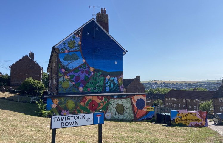 Two Tree Community Garden Mural finished June 2025