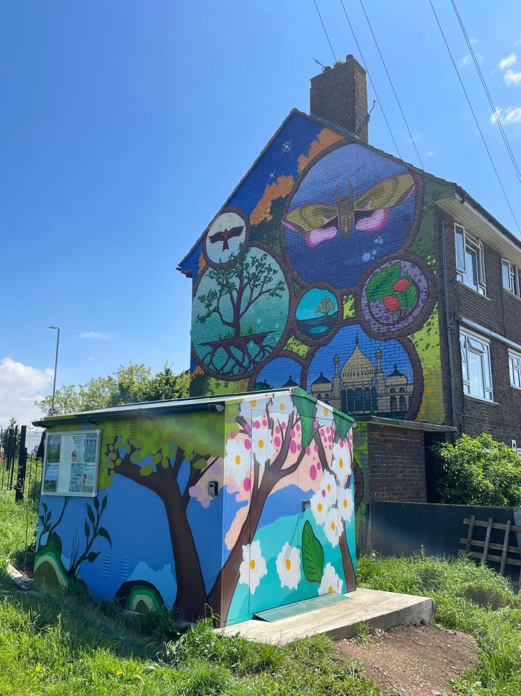 Growing Hollingdean Shed on Lynchet Close