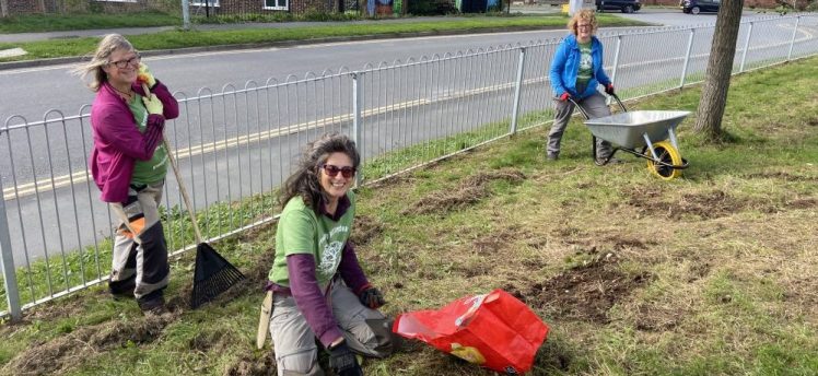 Tree Guardians in Hollingdean Park Wildflower Verge, 5th October 2025