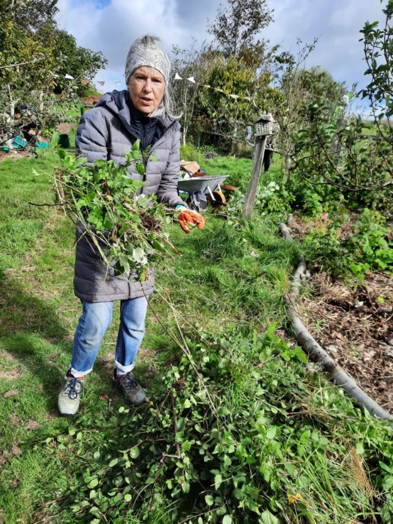 Hollingdean Park Forest Garden October 2025, planted by Growing Hollingdean Volunteers