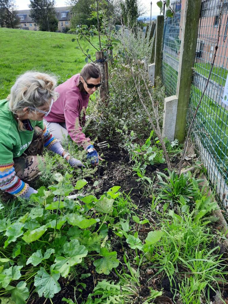 Join us in the Forest Garden Hollingdean Park this Sunday, 19 October 2025