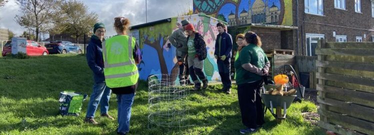 Growing Hollingdean Tree Guardian morning starts at 10am to 12noon the first Sunday of every month
