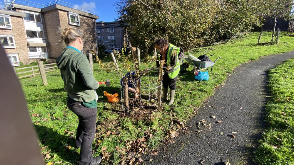 Tree Guardians see on Brentwood Road 2 November 2025