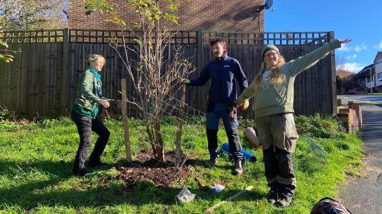 Tree Guardians see on Brentwood Road 2 November 2025