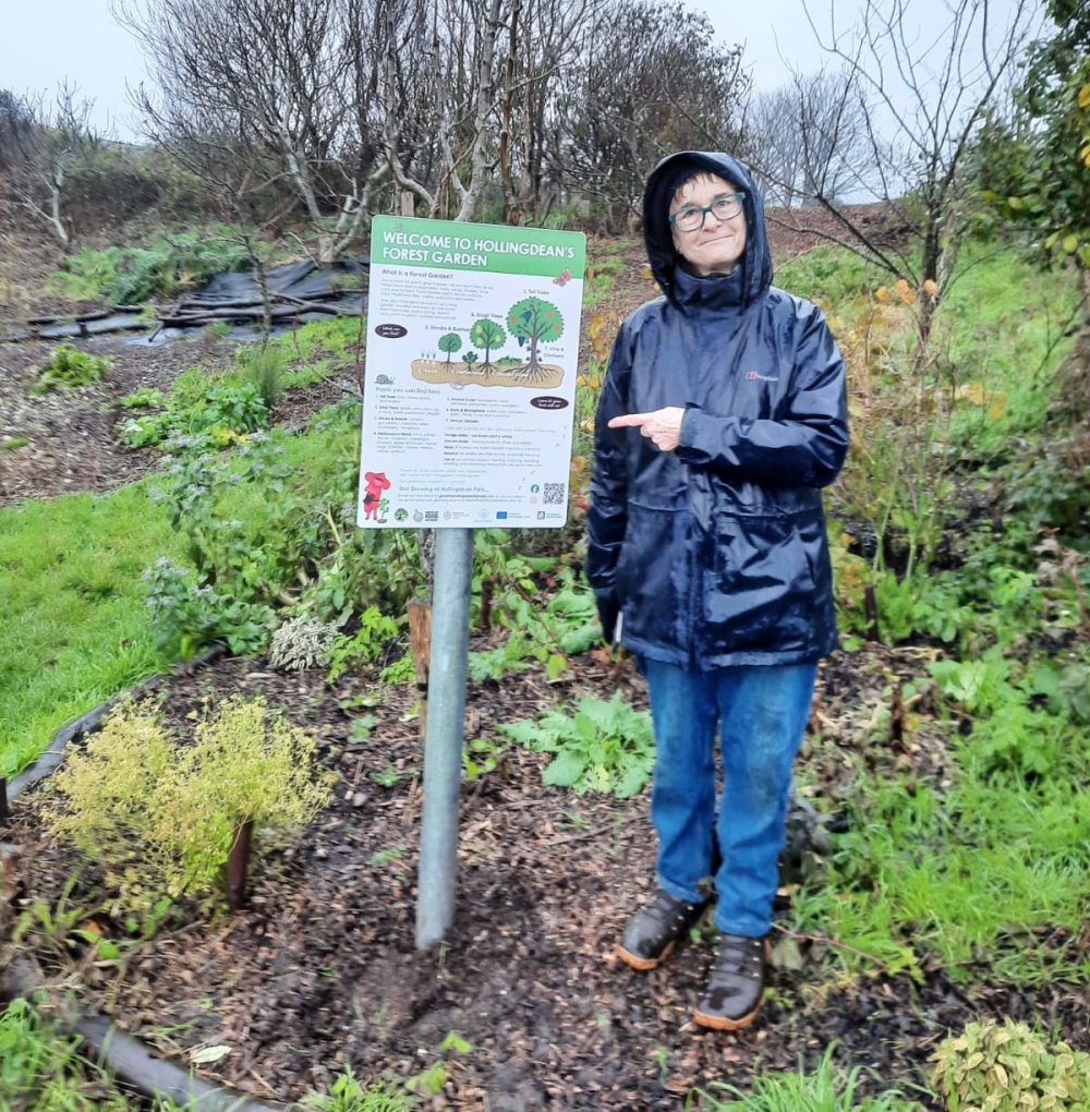 Entrance Map , Forest Garden and Pond Sign installed in Hollingdean Park, December 2025 with the help of Growing Hollingdean Volunteers